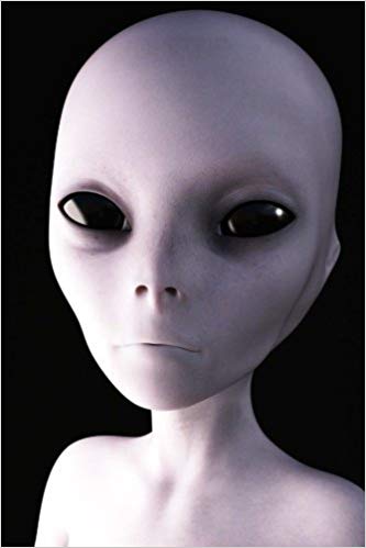 Grey Alien